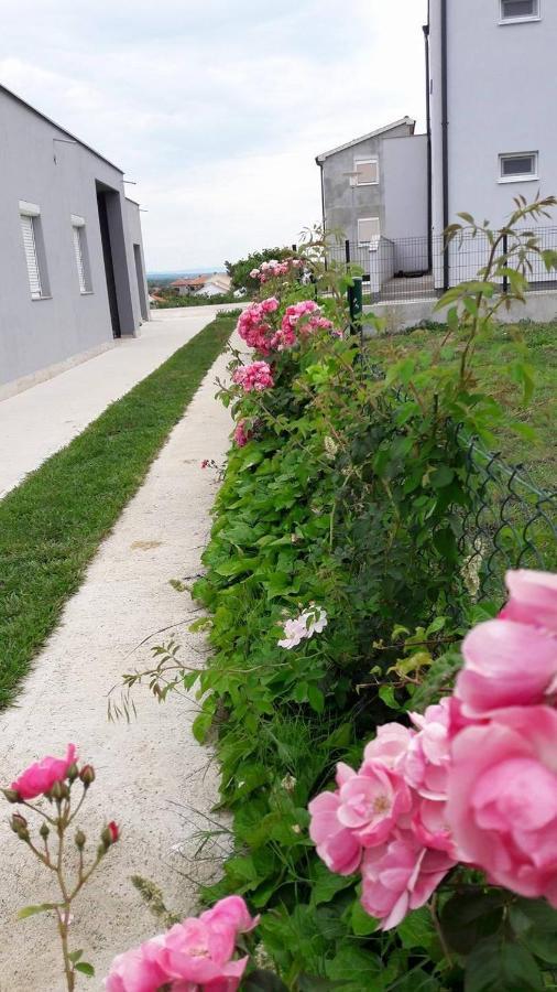 Apartments With A Parking Space Nin, Zadar - 13571 Bagian luar foto